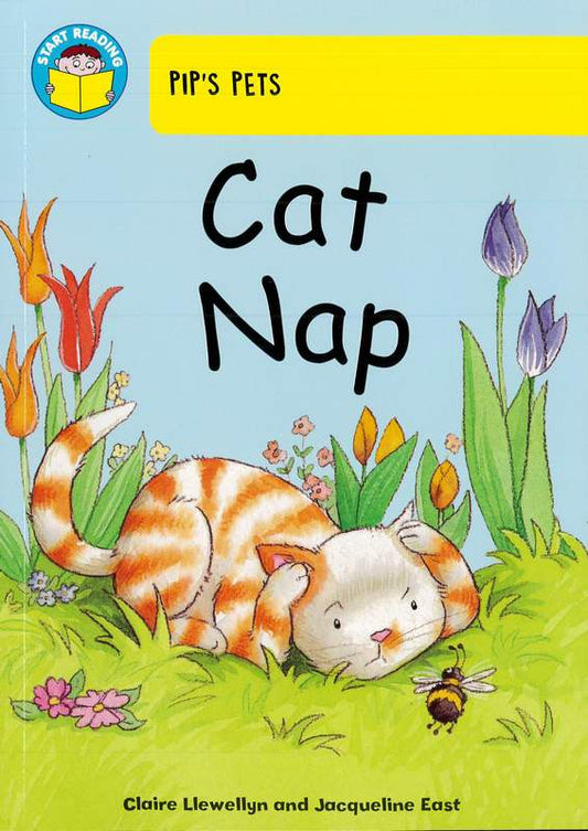 Cat Nap